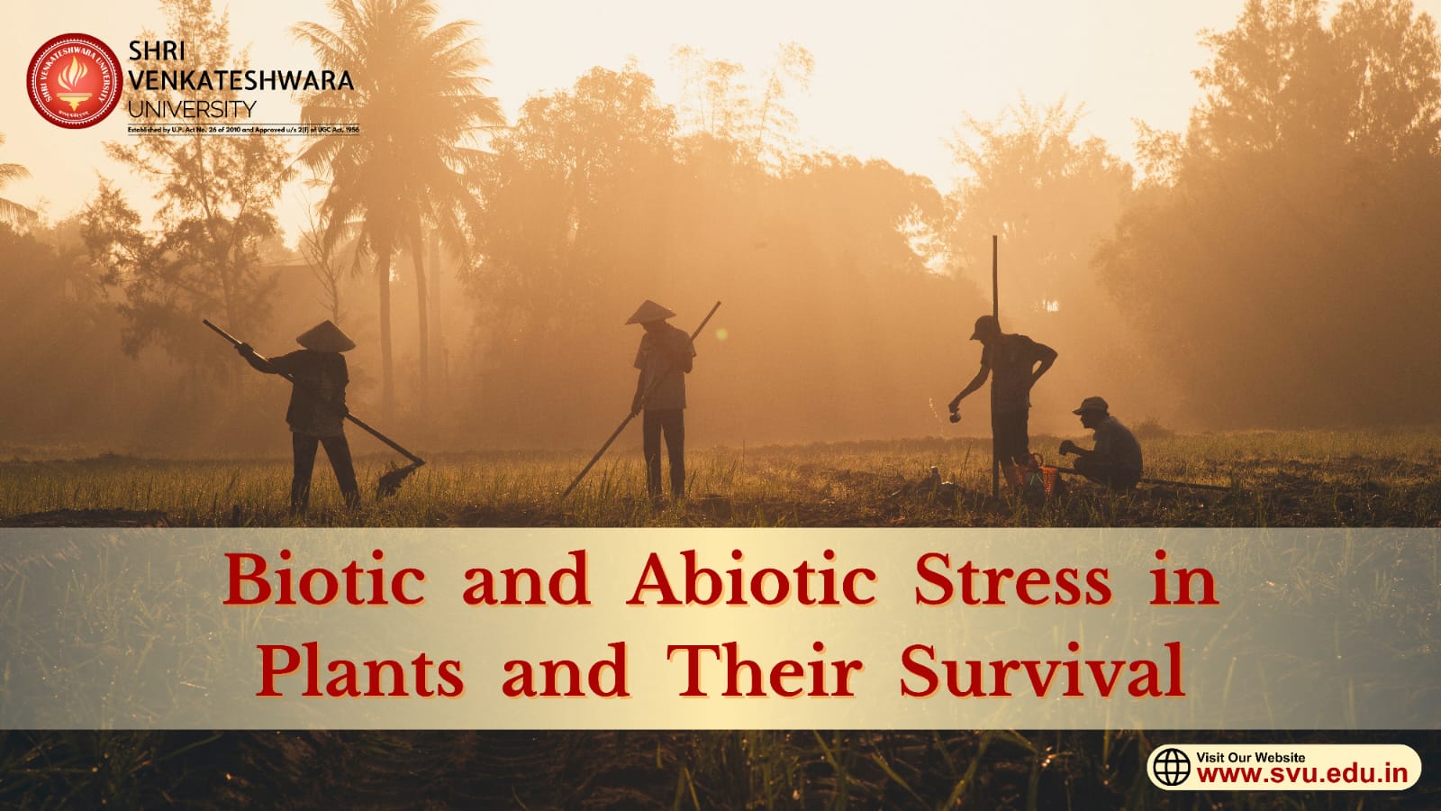 Biotic and Abiotic Stress in Plants and Their Survival