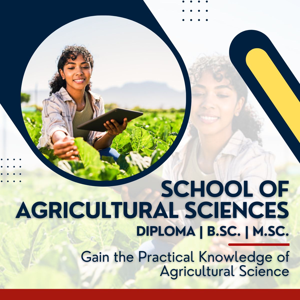 Agriculture Colleges in UP